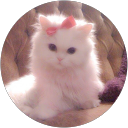 一条さな 一条さな