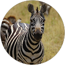 Hiroomi Yamaguchi Hiroomi Yamaguchi