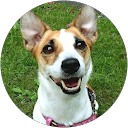 kyoko kuwashima kyoko kuwashima